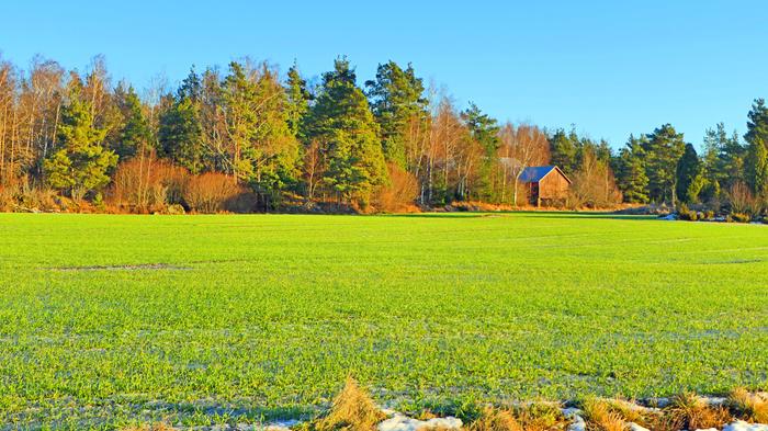 Lauha sää vei lumet Lounais-Suomesta. Lauhat länsituulet ja vesisateet veivät lumet mennessään.