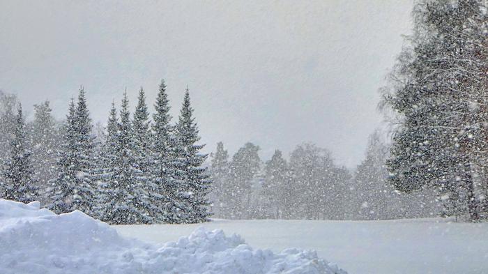 Lumipyry Voimakas matalapaine tuo lumipyryä suureen osaan maata alkuviikolla. Sään lauhtuessa osassa maata sateet muuttuvat rännäksi ja vedeksi.