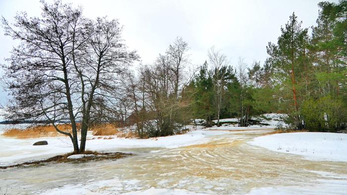 Taivassalossa oli pilvistä ja liukasta 13. helmikuuta 2024.