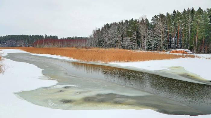 Lauhaa helmikuun säätä.