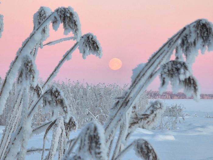 Pakkasaamun kuutamo Rääkkylässä.