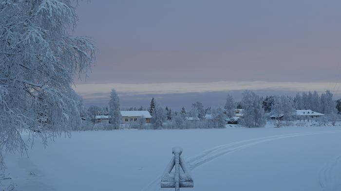 Pakkaspäivän värejä.