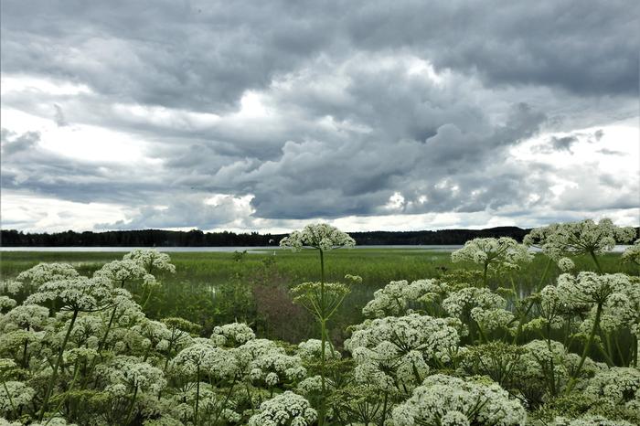 Sadetta enteileviä pilviä Sadetta enteileviä pilviä.