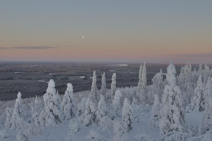 Talvipäivänseisaus Paltamon Kivesvaaralla. Vaaran juurella pakkasta oli 28 astetta, vaaran laella 14 astetta.