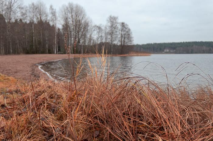 Tohloppijärvi marraskuussa Marraskuisen pilvistä.