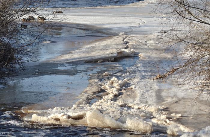 Etelä-Pohjanmaalla Kyrönjoen jääpeite alkaa jo vähitellen sulaa.