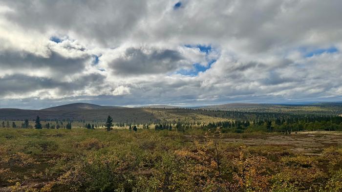 Ruska aluillaan Sodankylässä.