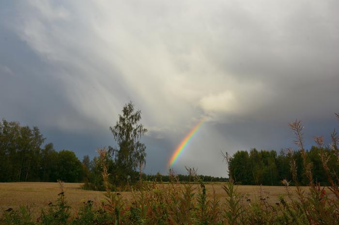 Sateenkaaren näkymiseen voi riittää pienikin auringon pilkahdus.
