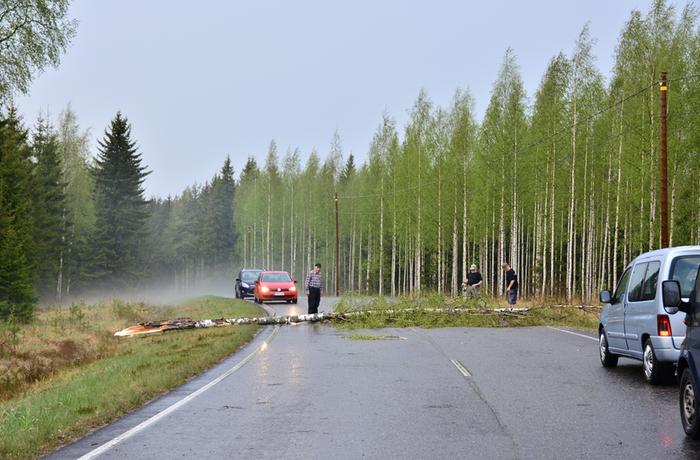 Ukkoskuuron yhteydessä riehunut trombi sekoitti liikenteen ja kaatoi puita teille Forssan lähellä v. 2014