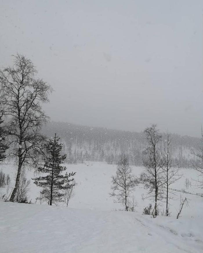 Utsjoen toukokuussa lunta piisaa!
