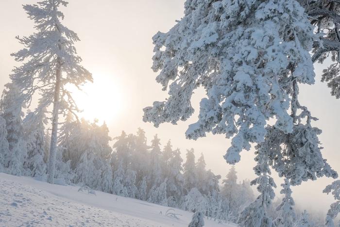 Kylmä talvimaisema Suomessa on nyt kylmää.