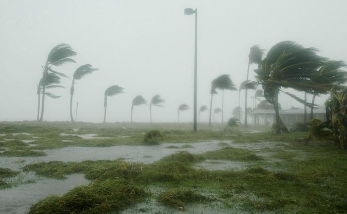 Hurrikaani Floridassa Trooppiset hirmumyrskyt aiheuttavat mittavia vahinkoja maa-alueille iskeytyessään.