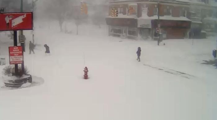 Buffalo, webkamera Buffalo