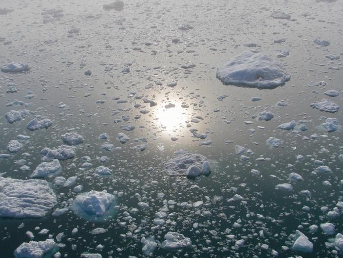 Arktista jääpeitettä on tänä vuonna ollut ennätyksellisen vähän.
