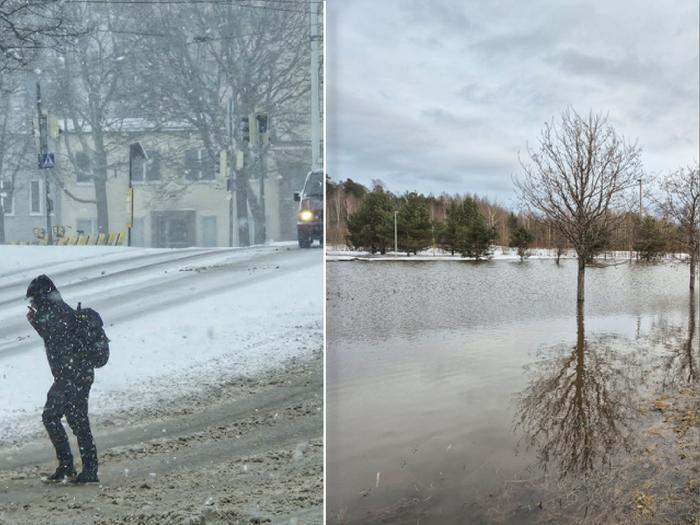 Kuvapari 6.4.2024 Kuvapari 6.4.2024