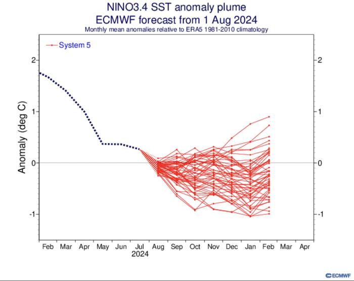 La Niña -ilmiö katsotaan alkaneeksi, kun meriveden lämpötila laskee ainakin 0,5 astetta keskiarvon alapuolelle NINO3.4-alueella itäisellä Tyynellä valtamerellä. Tässä ennusteessa hajonta on syksyn ja tulevan talven osalta suurta. Todennäköisin vaihtoehto on, että La Niña -ilmiö alkaa jossain vaiheessa syksyä tai alkutalvea 2024, mutta ilmiö jää heikoksi.