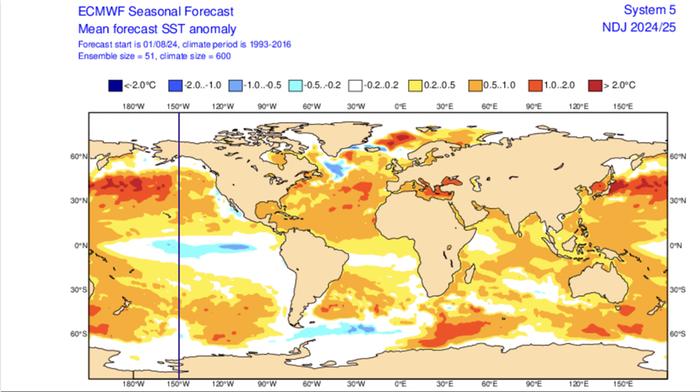 Ennuste meriveden lämpötilapoikkeamista ajanjaksolle marras-tammikuu. Tyynellä valtamerellä La Niña -ilmiö katsotaan alkaneeksi, jos meriveden lämpötila laskee päiväntasaajan läheisyydessä vähintään 0,5 astetta keskiarvon alapuolelle. CP La Niña (Central Pacific) puolestaan toteutuu, jos meriveden kylmeneminen yltää selvästi pituuspiirin 150°W länsipuolelle kohti Oseaniaa, kun taas EP La Niña (Eastern Pacific) pitää valtaosan kylmenemisestä tämän pituuspiirin itäpuolella. Ennusteen mukaan tuleva La Niña -ilmiö olisi todennäköisimmin EP La Niña -sorttia.