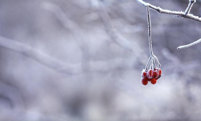 Kylmä maisema Kylmä maisema