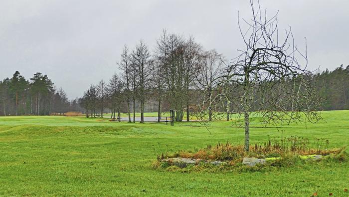 Harmaa joulukuun maisema