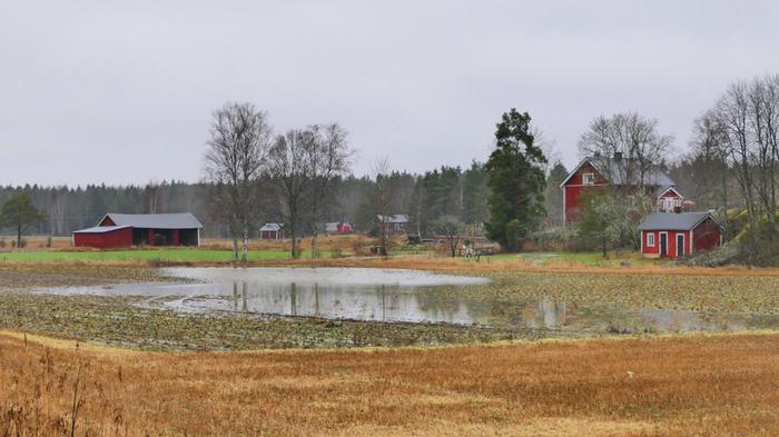 Harmaata ja sateista.