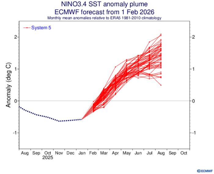 Nino plumes Nino plumes