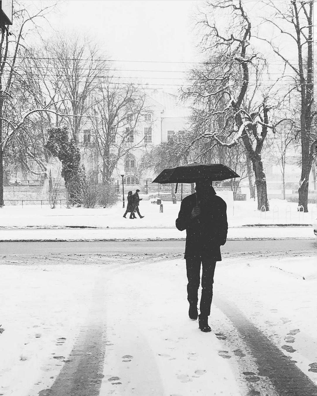 Lumi saapui Tallinnaan 26.2.2020.