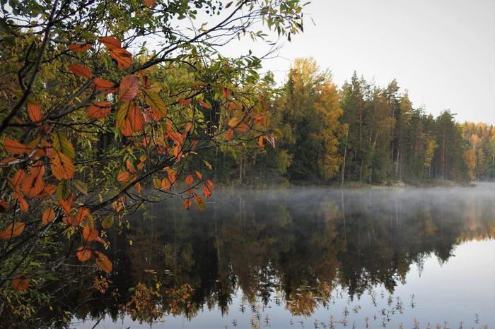 Syyskuussa ruska alkaa jo paikoin ja viileiden öiden jälkeen ilmassa voi olla sumua tai utua.