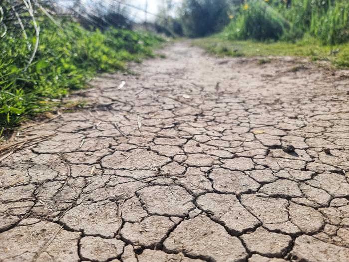 Espanjassa, Portugalissa ja paikoin Ranskassakin maaperä on erittäin kuiva vähäsateisen ja lämpimän maaliskuun jälkeen.
