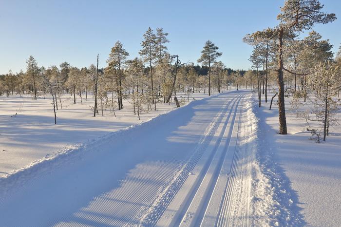 Aurinkoinen talvisää.