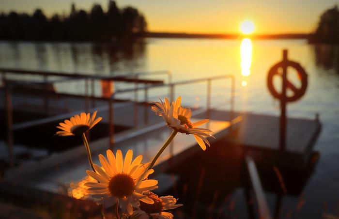 Kesän kauneutta Aurinko nousee.