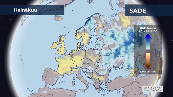 ECMWF:n ennuste sademäärien poikkeamista heinäkuulle 2026 Eurooppaan.