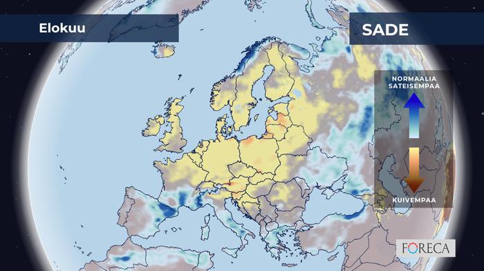 ECMWF:n ennuste sademäärien poikkeamista elokuulle 2026 Eurooppaan.