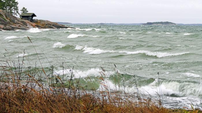 Marraskuu loppuu tuulisessa säässä Marraskuu loppuu tuulisessa säässä.