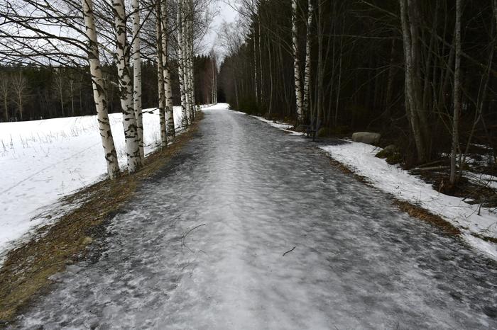 Kävelytiet olivat paikoin liukkaita Jyväskylässä ystävänpäivänä 2023.