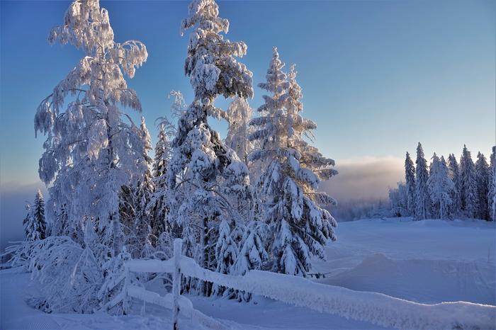 Tammikuun 2022 sää on ollut vaihtelevaa kireistä pakkasista suojasäähän.