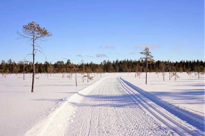 Maaliskuun aurinkoa ja latu.