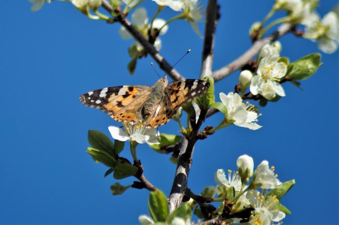 Aurinkoinen kevätpäivä Valkealassa toukokuussa 2019.