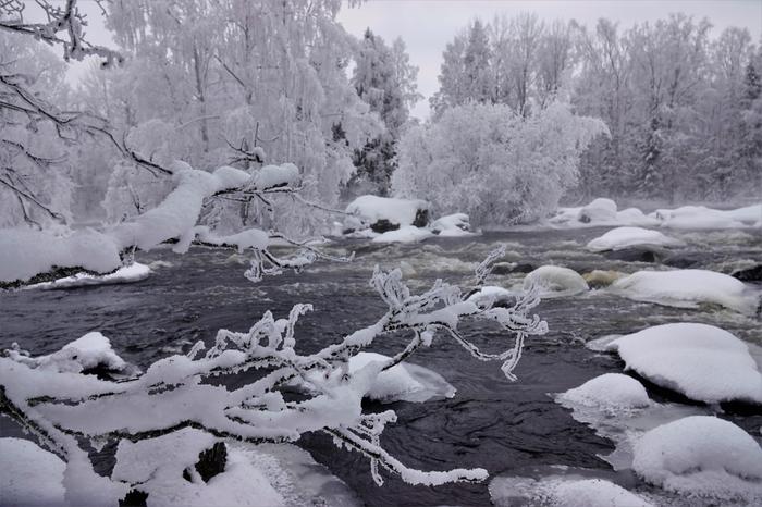 Koski ja lunta tammikuussa 2022.