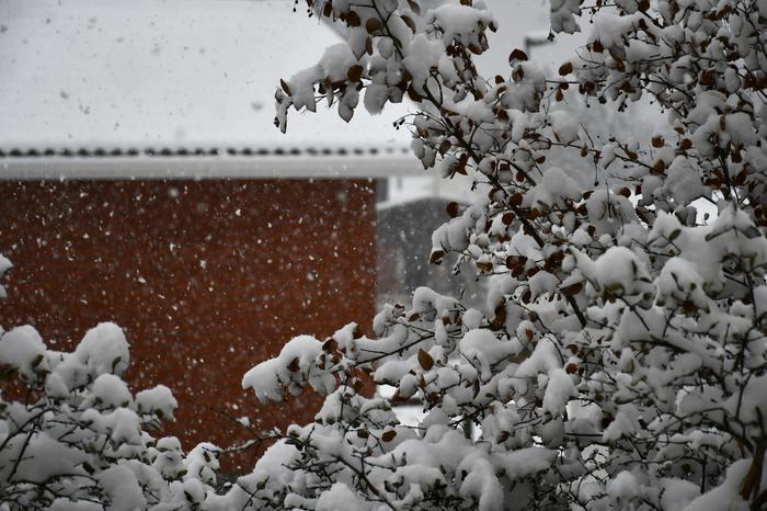 Lumisadetta Lunta pyrytti Jyväskylässä lokakuun viimeisenä päivänä vuonna 2023.