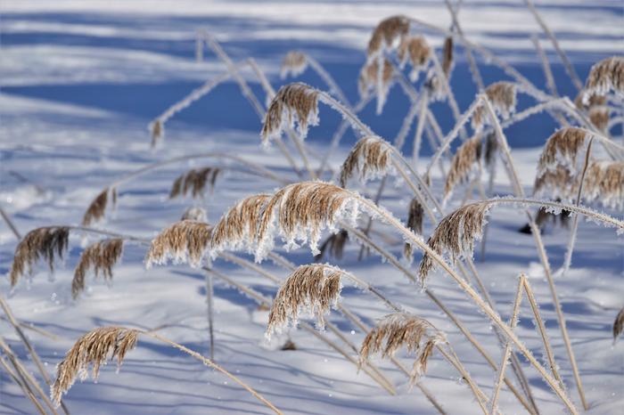 Maaliskuun pakkasta ja aurinkoa.