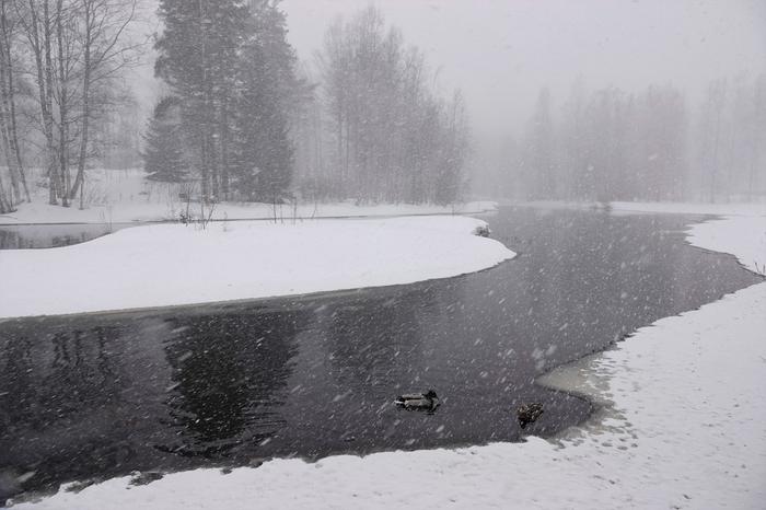 Maaliskuu päättyi tänä vuonna hyvin talvisissa merkeissä.