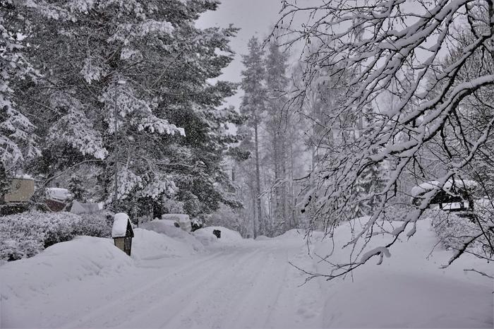Lumisateita Jyväskylässä helmikuussa 2022.