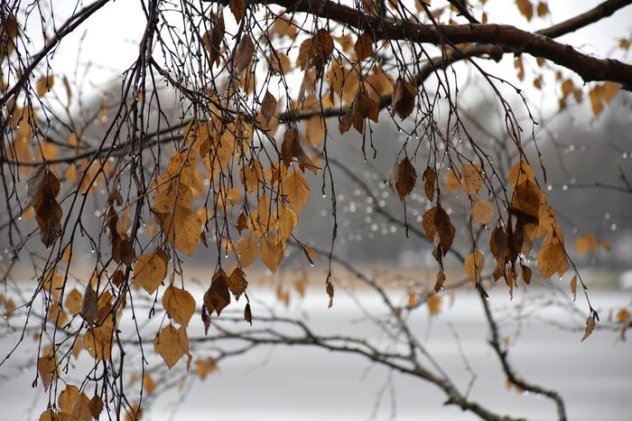 Harmaa ja sateinen sää.