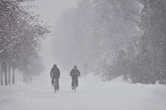 Sakeaa lumisadetta Jyväskylässä.