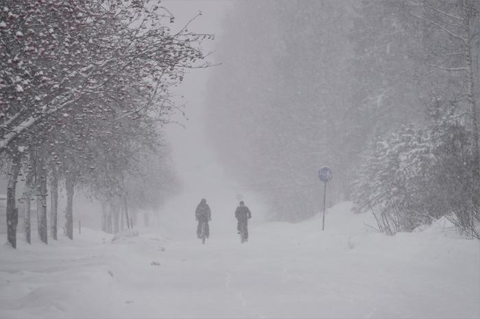 Sakeaa lumisadetta Jyväskylässä.