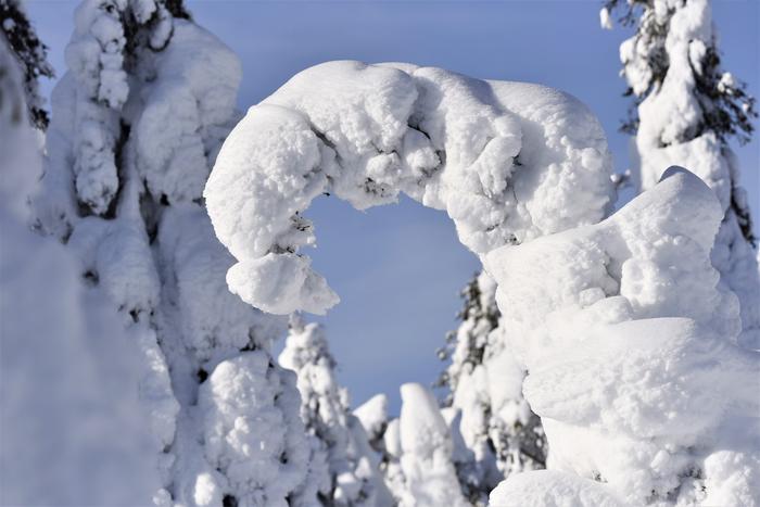 Lunta Riisitunturilla helmikuussa 2020.