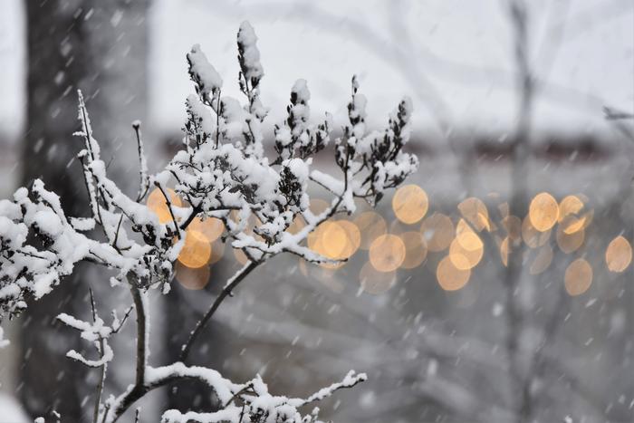 Lumisadetta ja valoja.