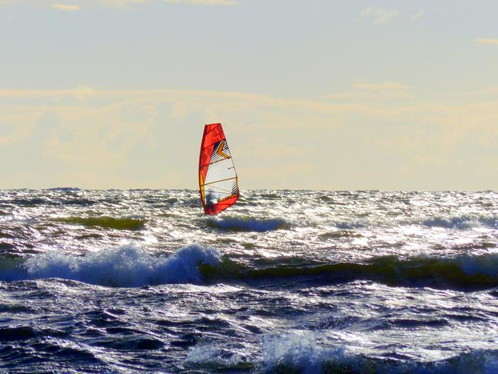 Purjelautailua aallokossa.