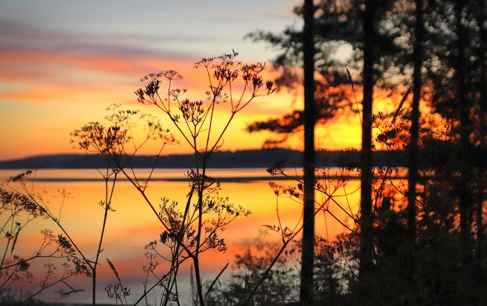 Helteisen päivän aamu.