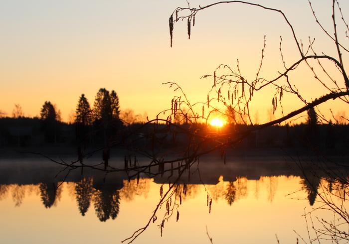 Kuulas keväinen auringonnousu.
